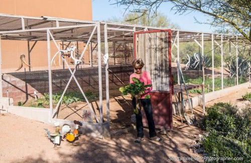 Rio Rancho Verde Two Bedroom Suite - Foto 73