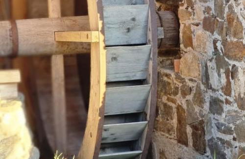 Ferienwohnungen JoJaSa - Foto 63