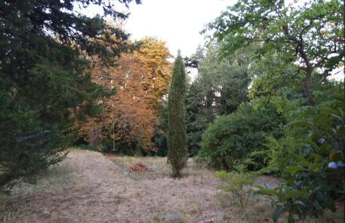 Jankovich Castle - Photo 21