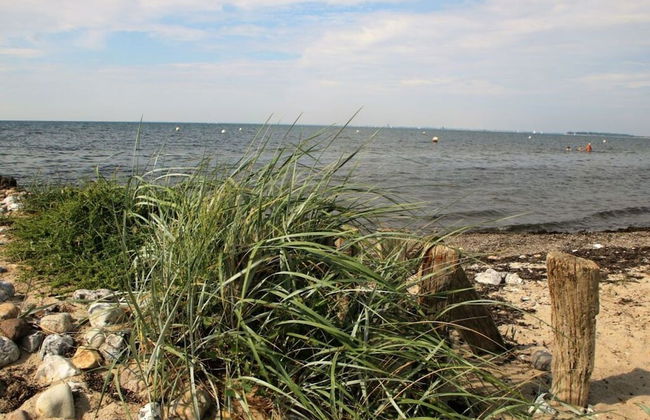 Holiday Home Lilly Comfortable Vacation Home - Foto 22