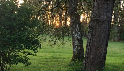 Grimm`s Waldhäuschen - Foto 2