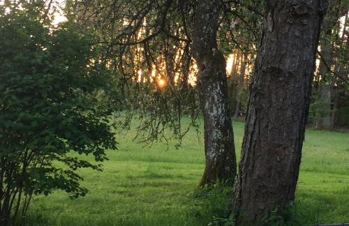 Grimm`s Waldhäuschen - Foto 2