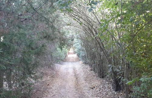 Amplio con Parking, Club y Piscina junto a Sevilla - Photo 31