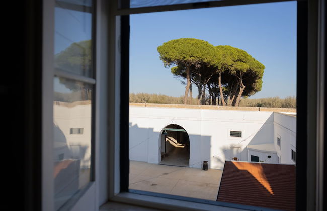 Filippo de Raho Agri Bio Relais - Foto 31