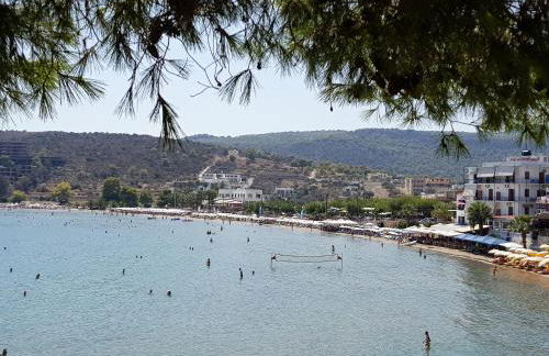 Sunrise Flora - Foto 34