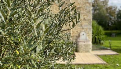 Le Jardin d'Elusa - Gîte le Chai - Photo 4, Garden