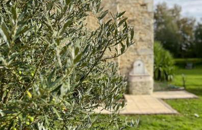 Le Jardin d'Elusa - Gîte le Chai - Photo 4