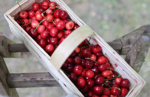 Drzewiecka Chata - Foto 52