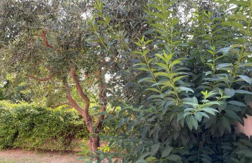 Il Nido Rosso - Foto 24