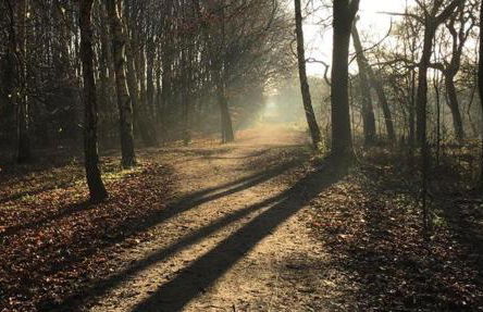 Chorlton Garden Rooms. Relax, work, stay and play. - Foto 11