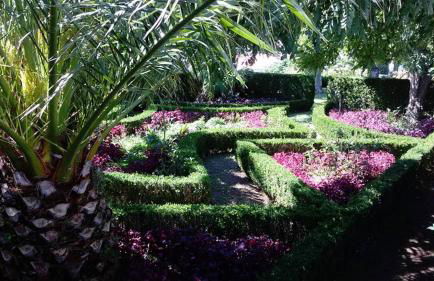 Quinta das Bolas - Photo 58