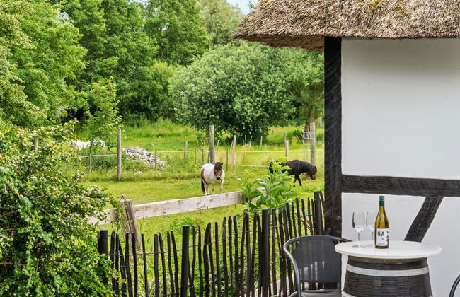 "Maileen" - 2.1km to the fjord - Foto 12