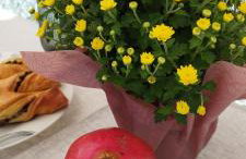 Ma Maison Nafplio - Foto 26