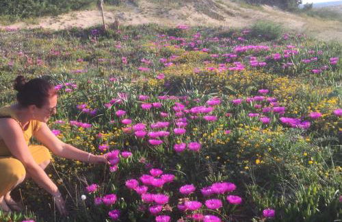 Porto Cesareo Sant'Isidoro Delizioso Trilo - Foto 36