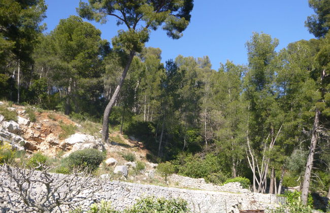 4 bedroom House in La Valette-du-Var with private pool and garden - Photo 36