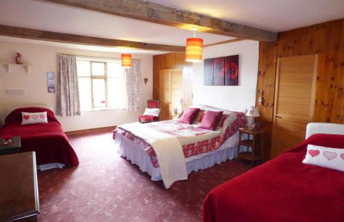 Arllen Fawr - Foto 13