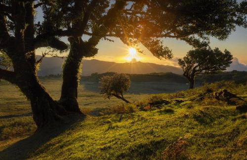 Ocean Breeze - Foto 35