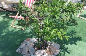 Bijela kuča - Foto 12