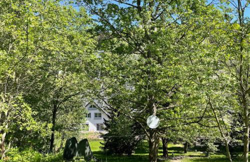 Villa die Sonne Apartments mit großem Garten - Foto 7