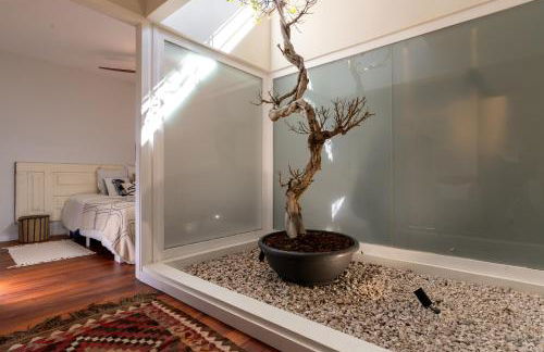 Feel Discovery P&P House Douro Valley - Foto 8