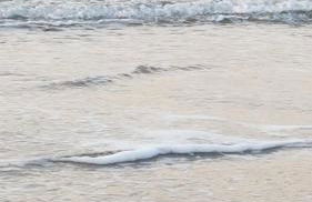 3***Ferienwohnungen Neumann - Foto 10