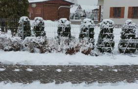 Apartamenty Pod Magnolią - Foto 10