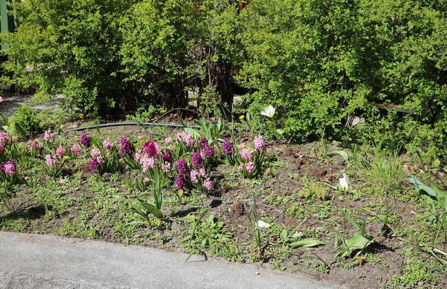 Apartment P1 Oslo City - Foto 26