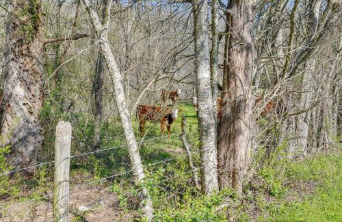 Eagles Nest Studio in Rising Fawn Creek Access - Foto 22