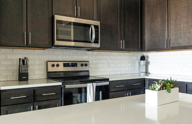 Landing Palmetto Apartments - Foto 5