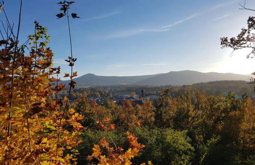 Auf-der-Muehlwiese - Foto 29