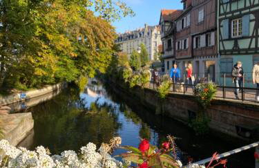 ALSACE Gîte 3étoiles climatisé prox Colmar, Eguisheim, parking, jardin - Foto 28
