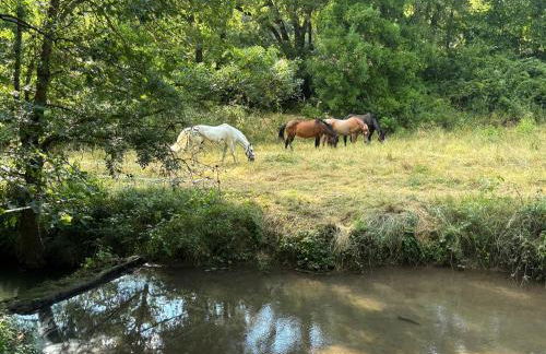 Les Gites De La Gassende - Foto 8