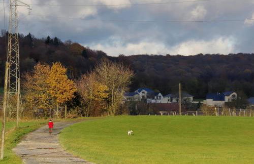 Gîte Chez Dimanche - Foto 12
