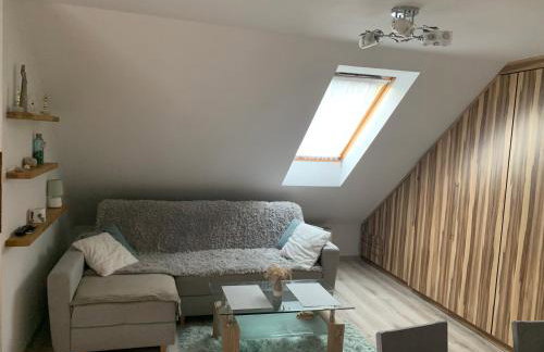 AGROTURYSTYKA DOR-Ali u Ali - Foto 10