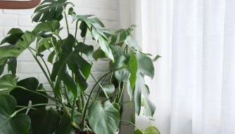 Sands Studio and Samphire Studio - Foto 4