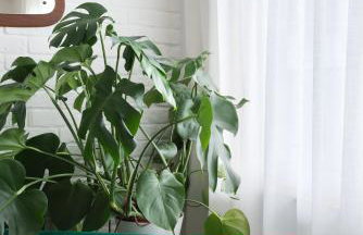 Sands Studio and Samphire Studio - Foto 4