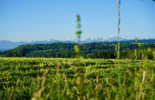 Ferienwohnung Auszeit im Pfaffenwinkel - Wessobrunn - Foto 12