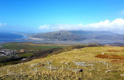 POD6 Family Glamping with seaview & Wi-Fi - Photo 15