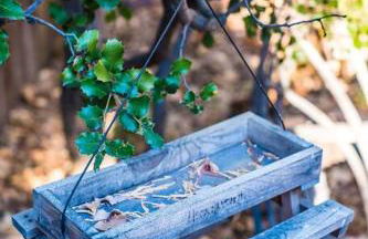 Wildland Zen Den Tiny House Retreat with Fireplace Grill AC Hammock Record Player Musical Instruments Pets OK - Foto 32