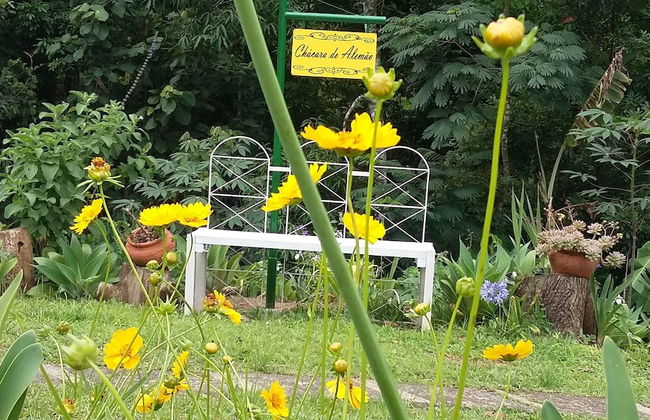 Chácara do Alemão - Recanto Jd.Silvestre - Foto 44