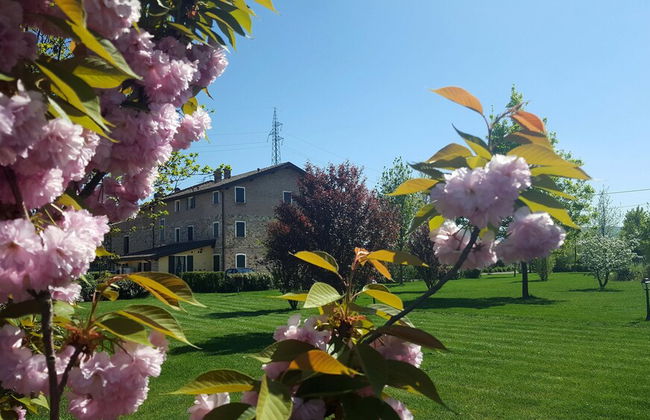 Agriturismo Il Brugnolo - Foto 46