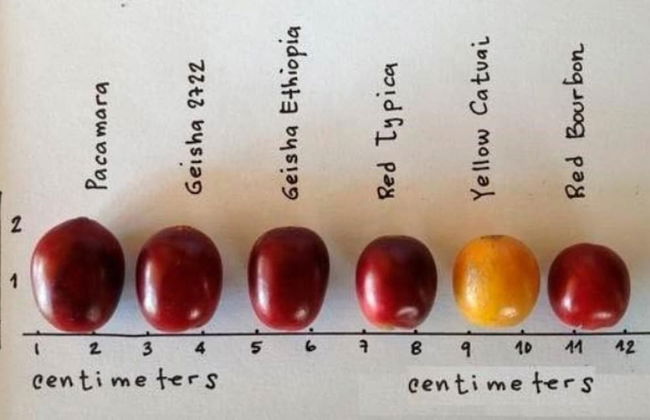 Captivating 4-bed Chalet Las Casitas en el Aire - Foto 12