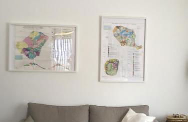 Piccola Bouganville - Foto 3