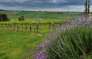 Casale Poggio Nebbia - Foto 16