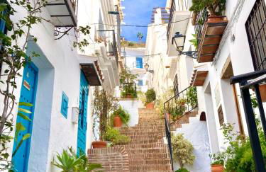 Buenos Sueños- Balcon de Frigiliana - Photo 34