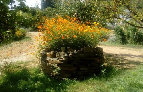 Apartments Spiros Pelion - Foto 9