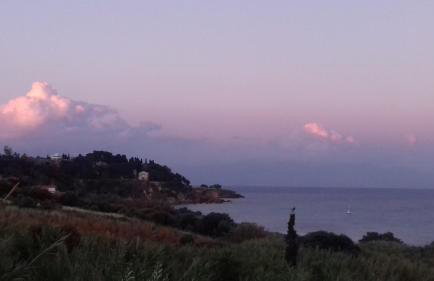 Margarita House - Photo 30