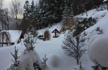 Willa Wierchy - Foto 28