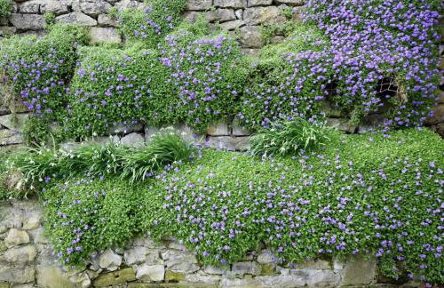 2 Bed in Bakewell oc-pk932 - Photo 9