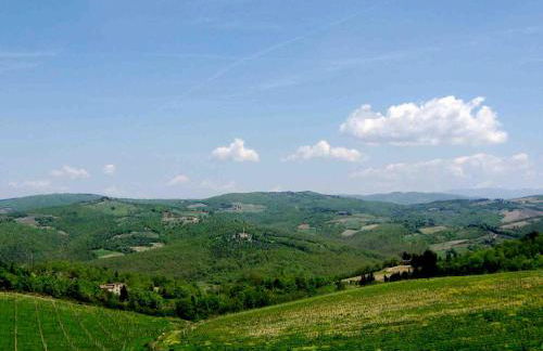 La Compagnia del Chianti - Foto 62